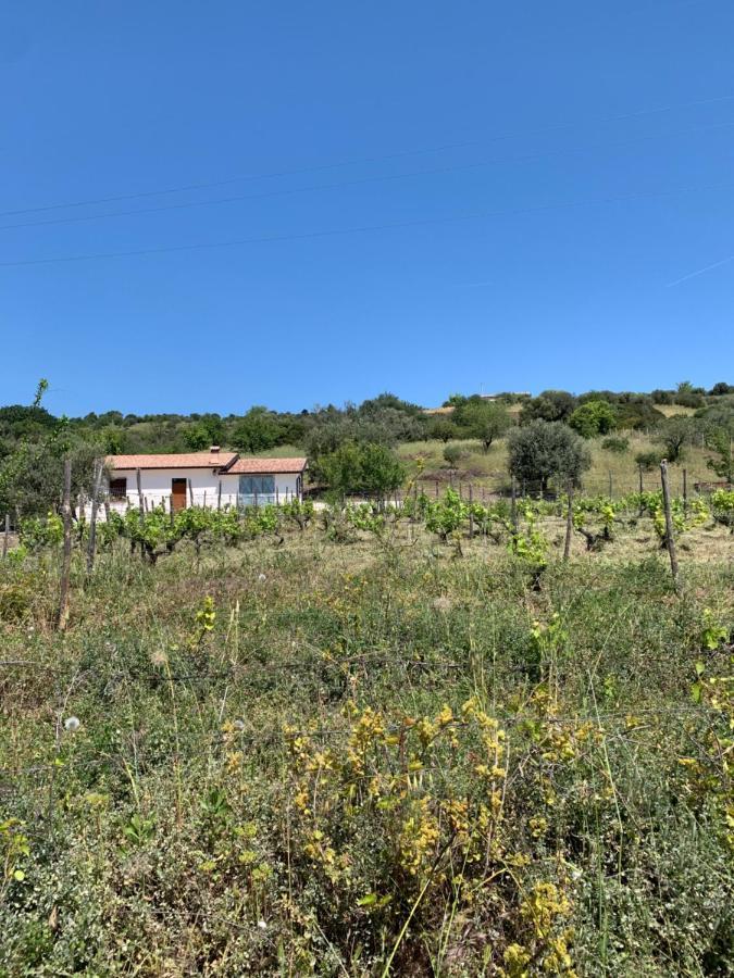 Villa Paradiso Montegiordano Luaran gambar