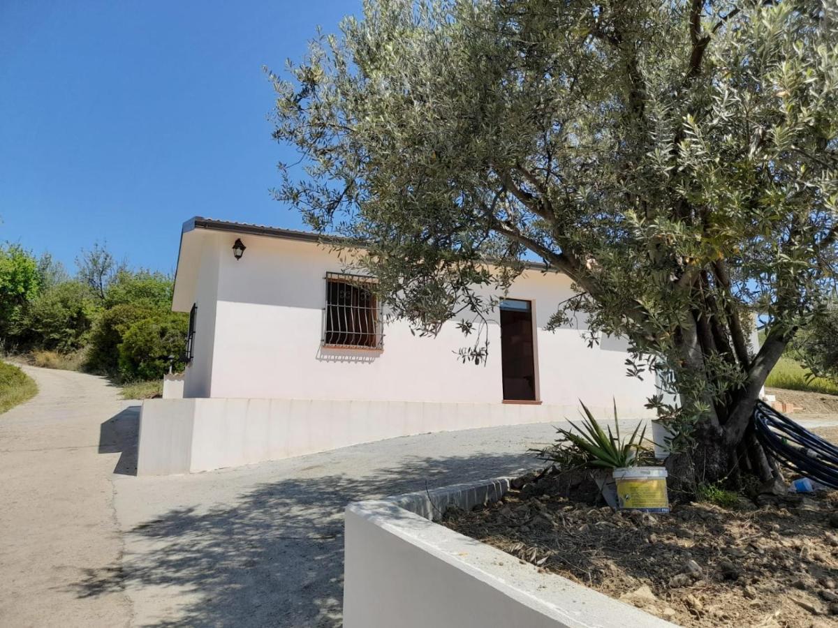Villa Paradiso Montegiordano Luaran gambar